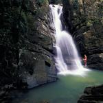 El Yunque Rainforest