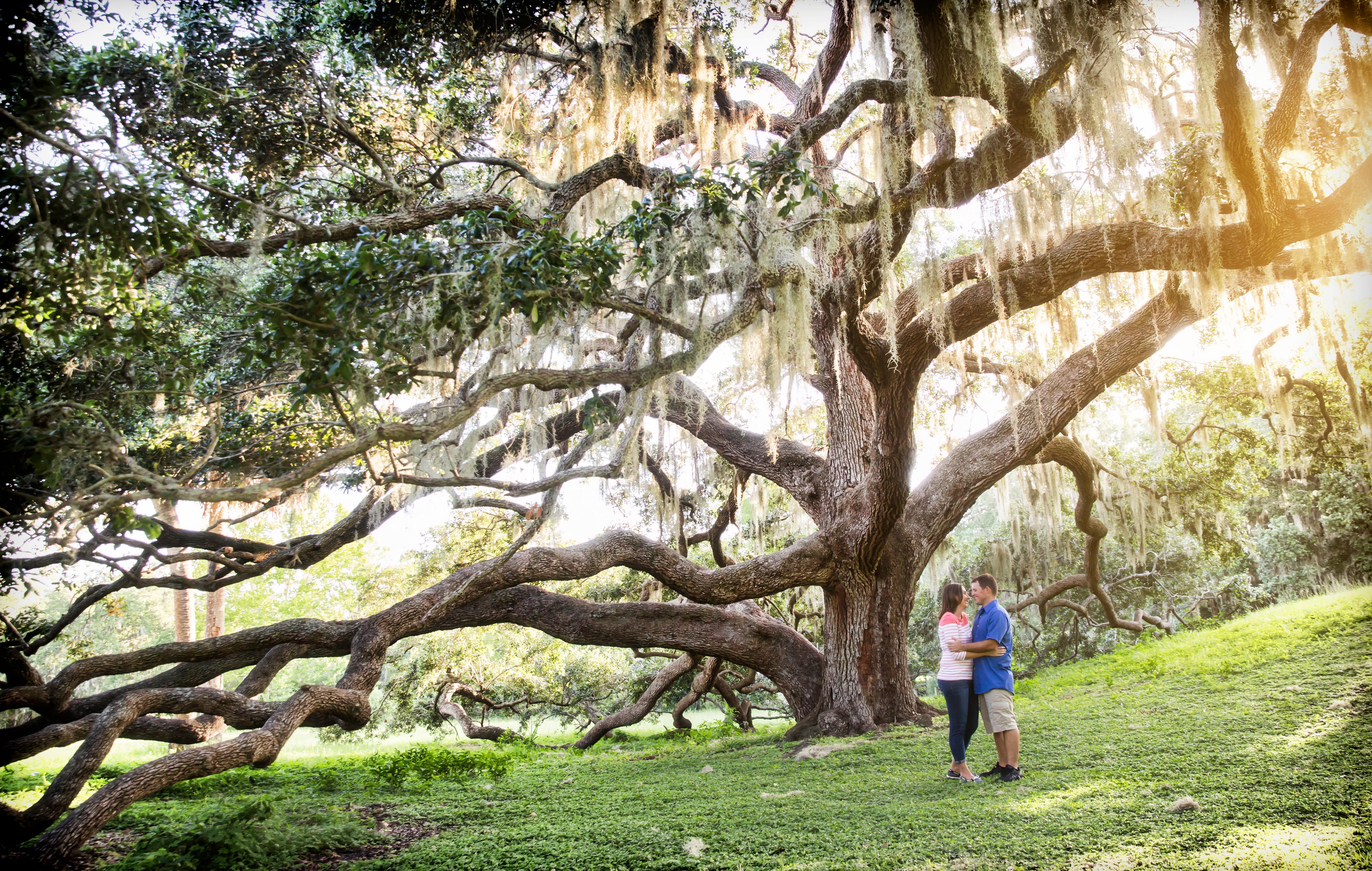 The Wedding Website of Liz Sturgill and Rob Price