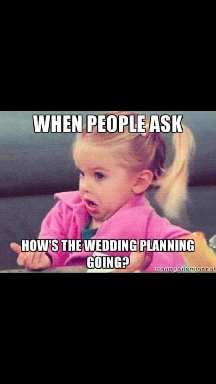 What about flowers? Officiant? Photographer? Decor? Food? Alcohol?! Ahhhhh!!!!! 🥴. This photo sums it all up!!!