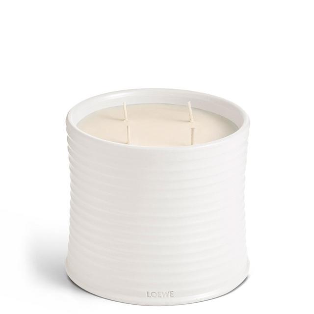 Loewe Large Oregano Candle