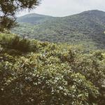 Malouf's Mountain Campground