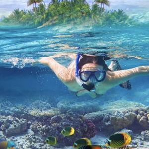Snorkel Safari + Sunset Cruise