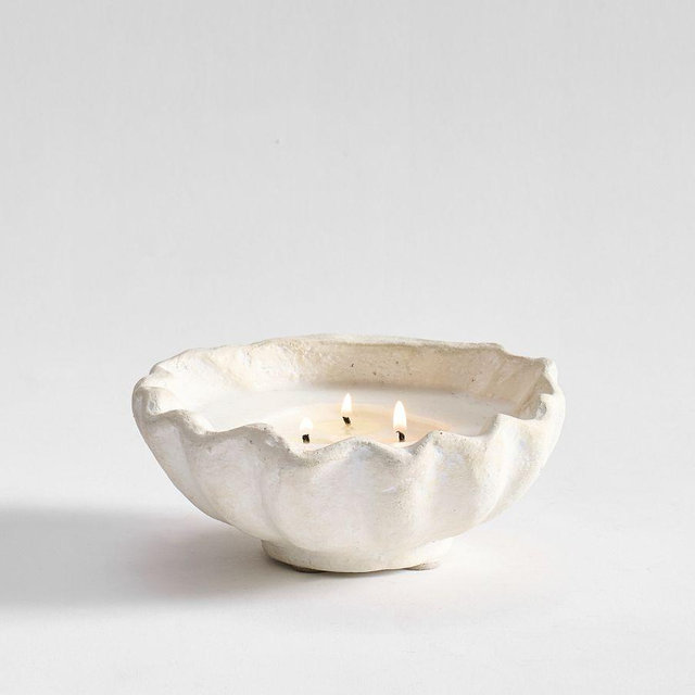 Coastal Artisan Studio Candle: Clam (White Fig & Vetiver): Small (5Oz/141G)