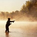 Parks' Fly Shop