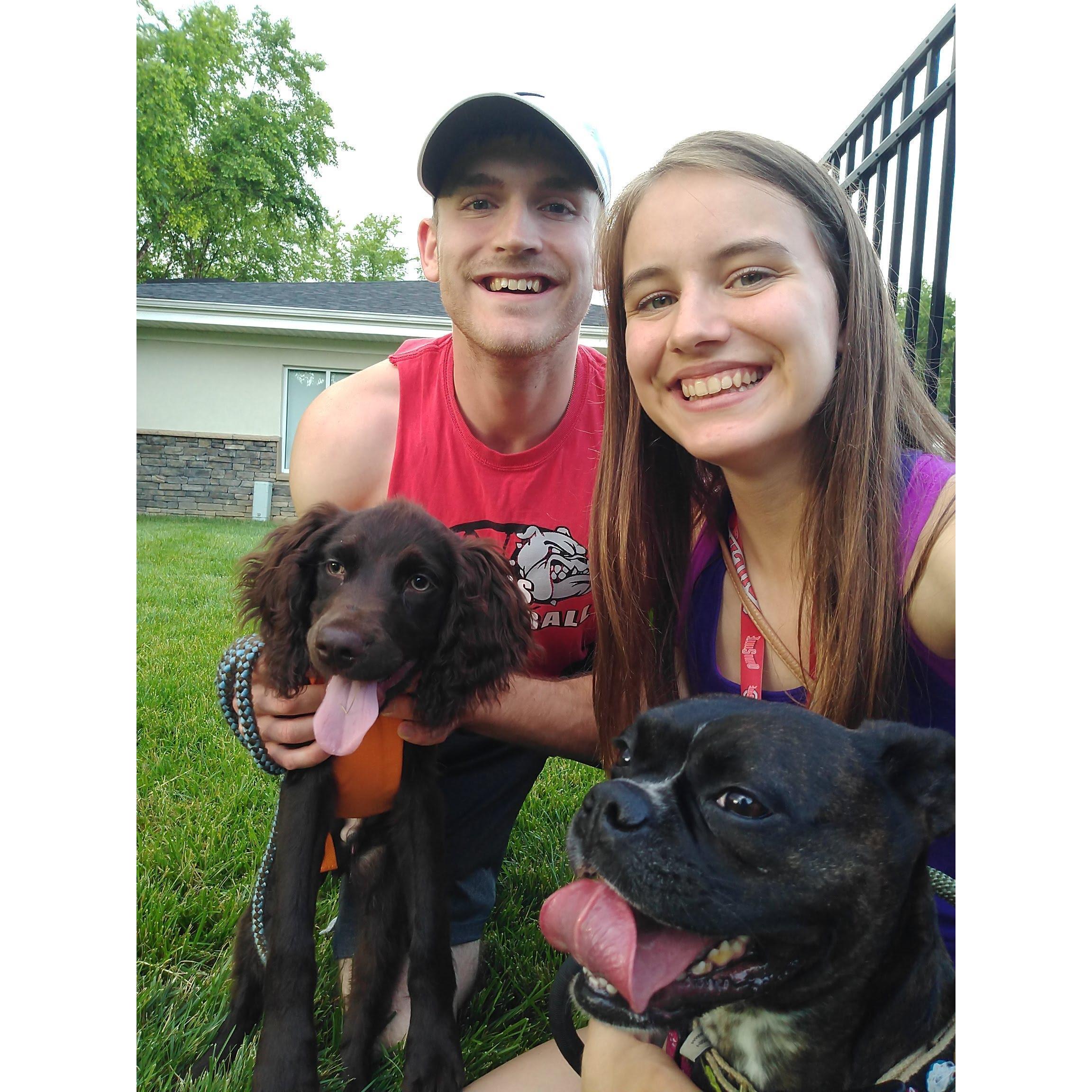 Walking dogs together in Columbus