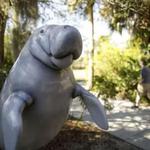 Manatee Park