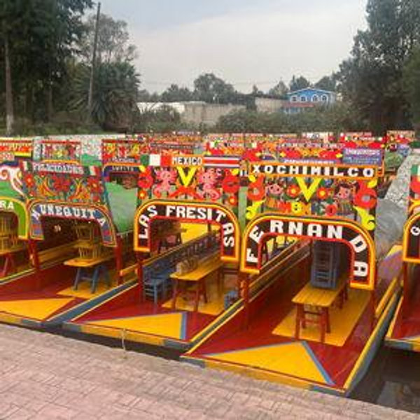 Xochimilco Boat Rental & CDMX Activities - CC Option (fees associated)