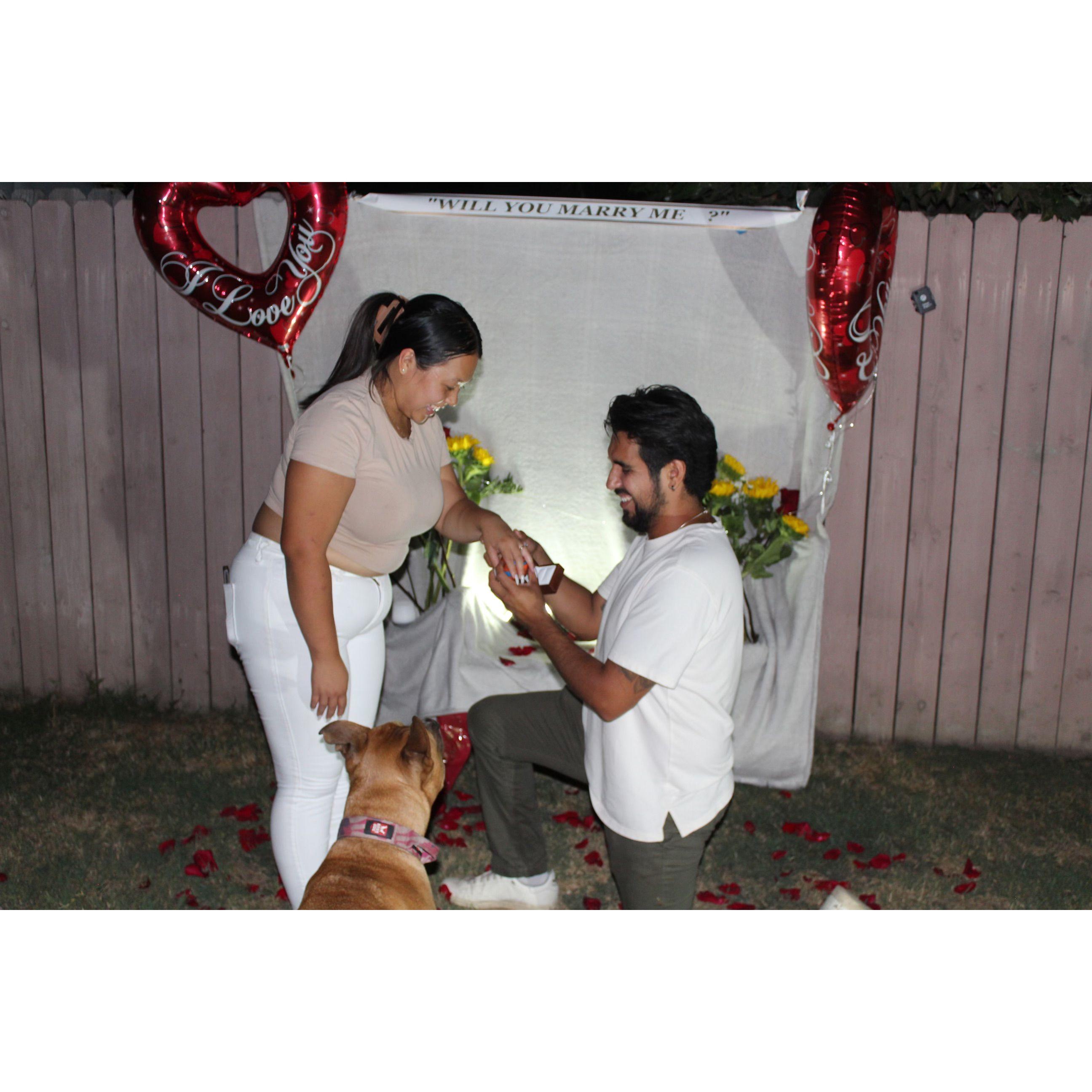 Oct 6,2024 Engaged