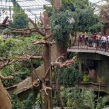 Omaha's Henry Doorly Zoo and Aquarium