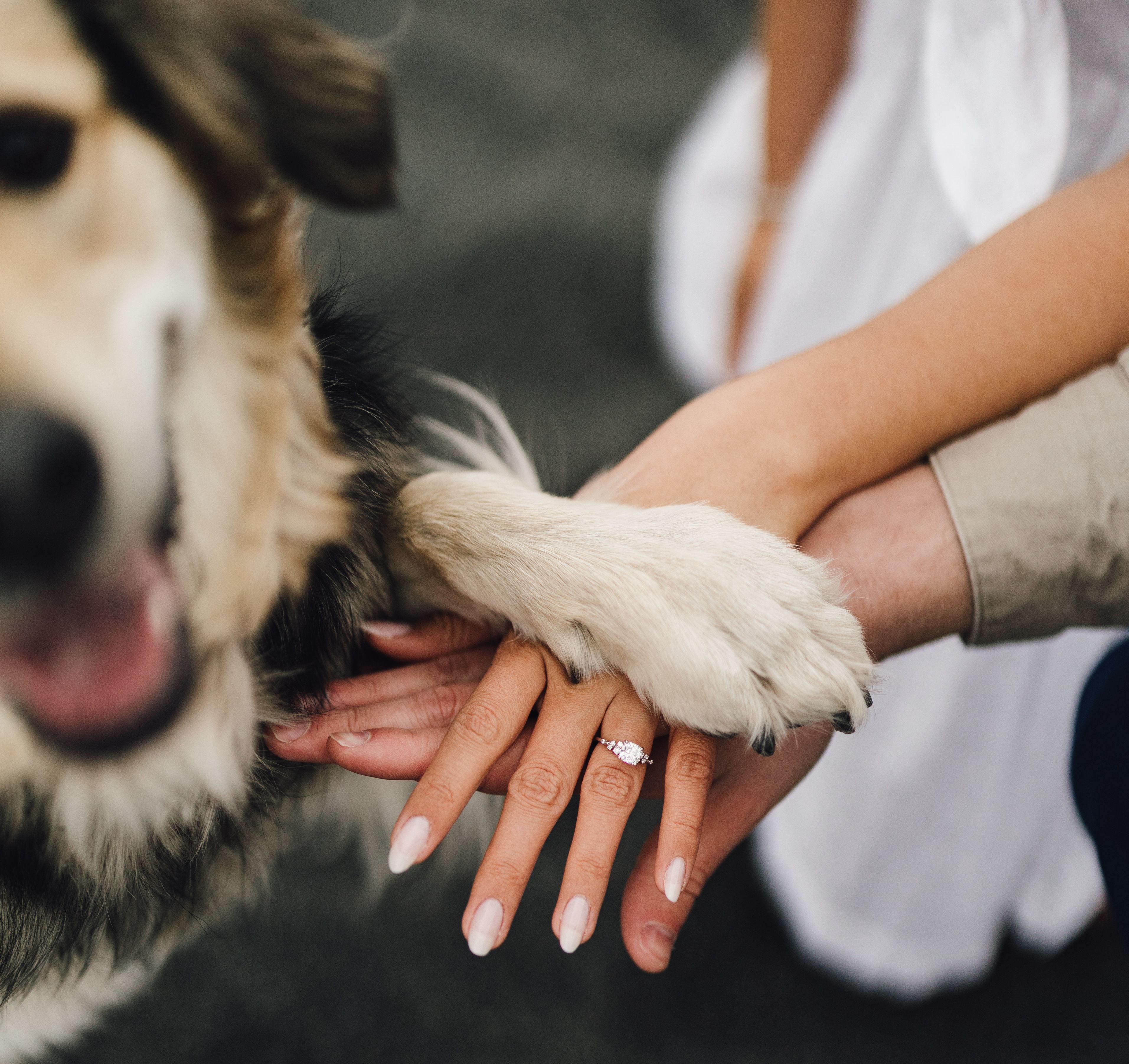 The Wedding Website of Ryker Zierden and Esther Kuah