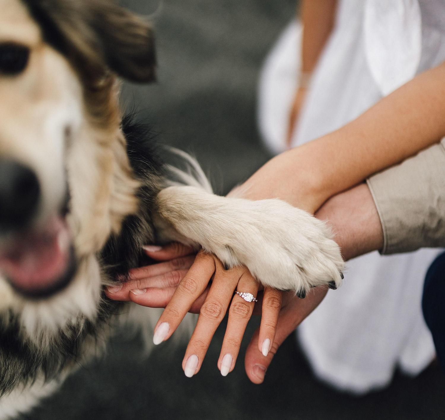 The Wedding Website of Ryker Zierden and Esther Kuah