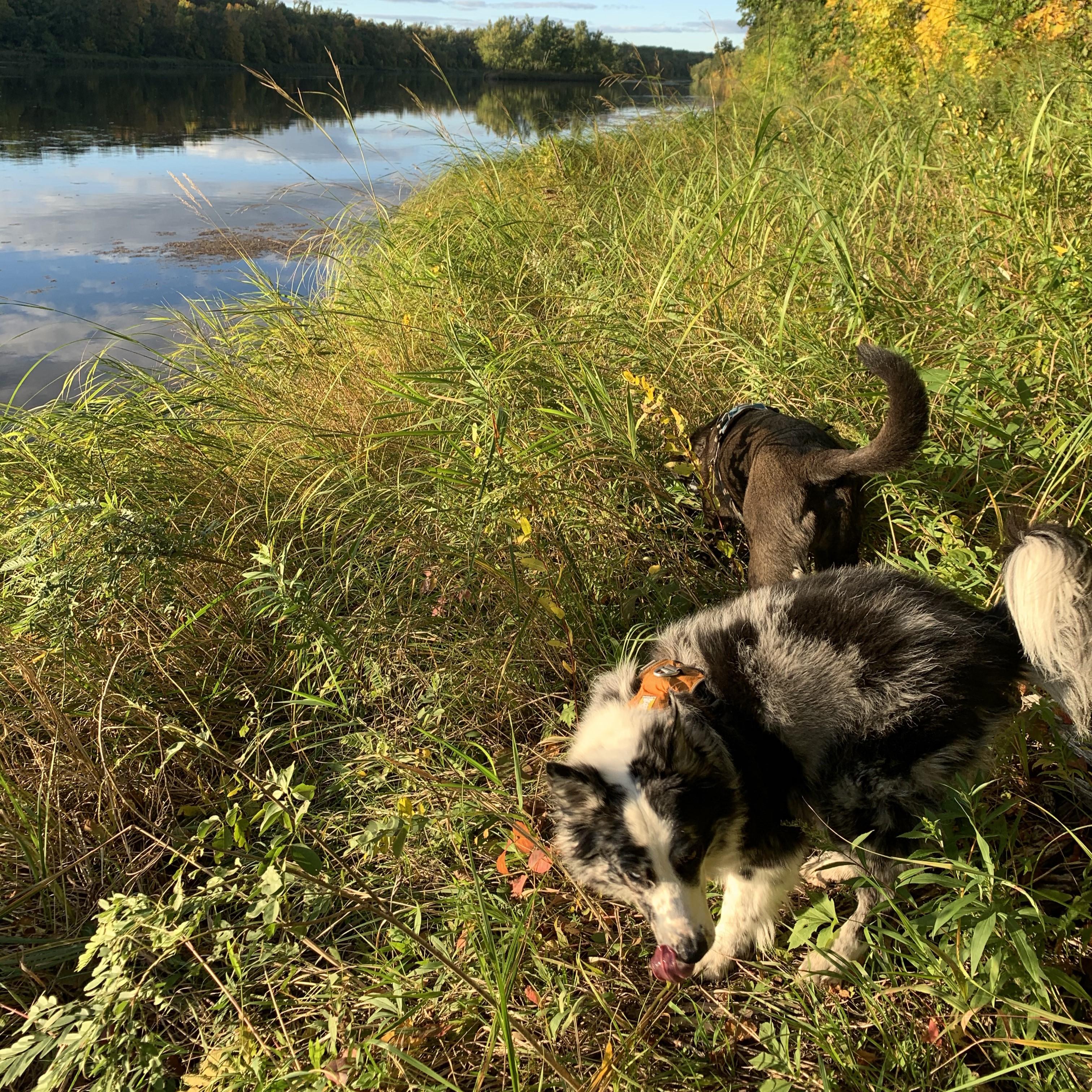 St. Croix River, WI