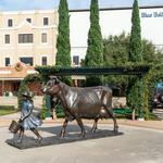 Blue Bell Creameries