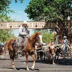 Fort Worth Stockyards Station