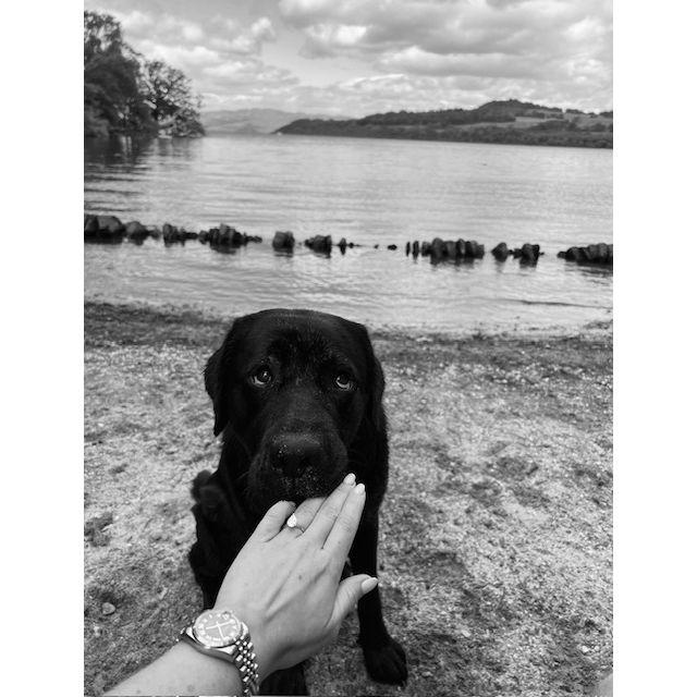 On the bonnie bonnie banks