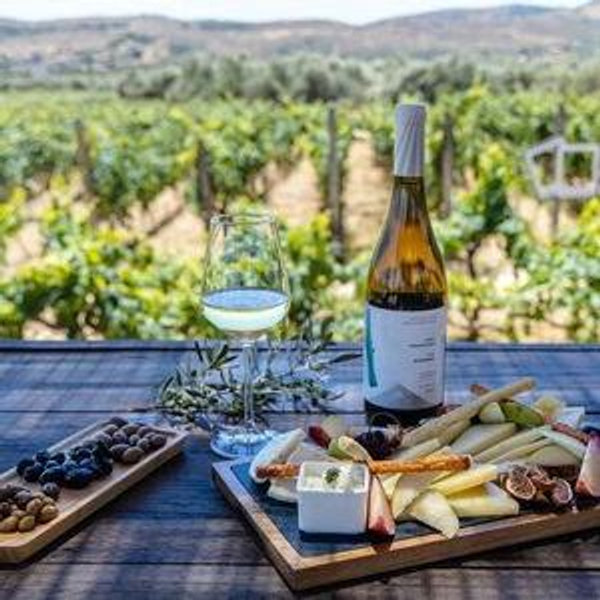 Wine + Olive Oil Tasting in Greece
