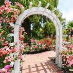 Luther Burbank Home & Gardens