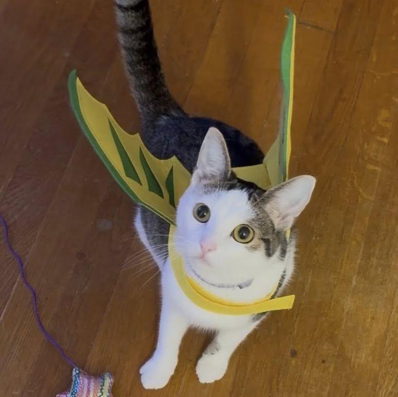 Luna dressed up as a dinosaur for Halloween.