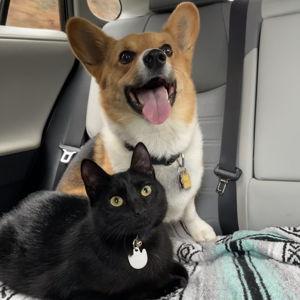 Treats for the boys!