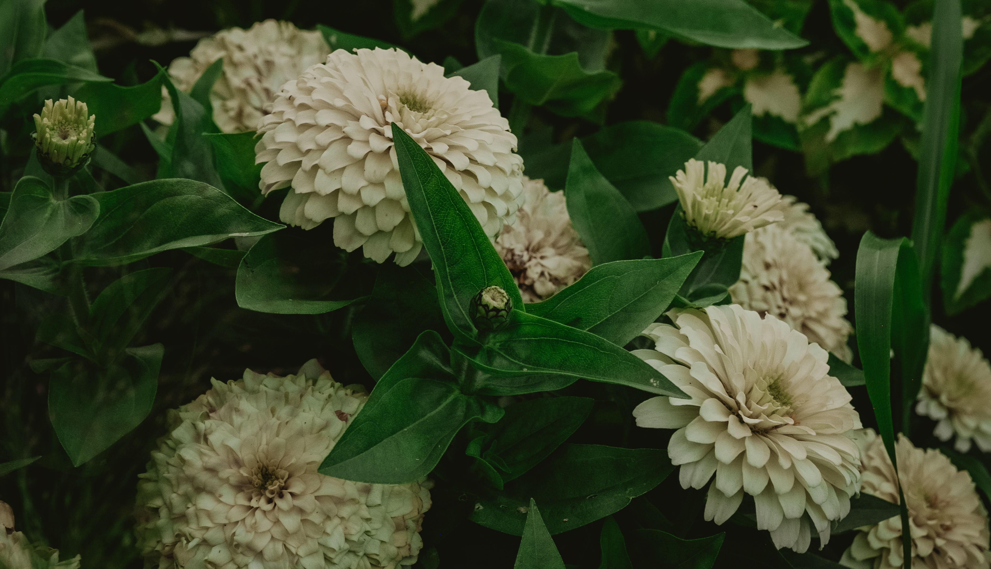 The Wedding Website of Emma Allen and Joe Miller