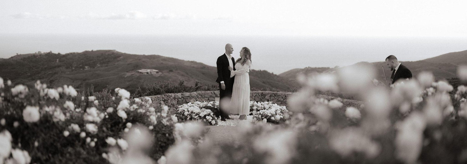 The Wedding Website of Toni Lyn Paul and Aram Derderian