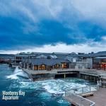 Monterey Bay Aquarium