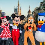 Walt Disney World® Resort