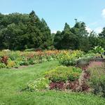 Rutgers Gardens