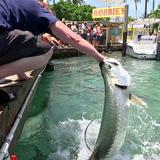 Robbie's of Islamorada