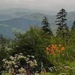 Great Smoky Mountains