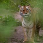 Columbus Zoo and Aquarium