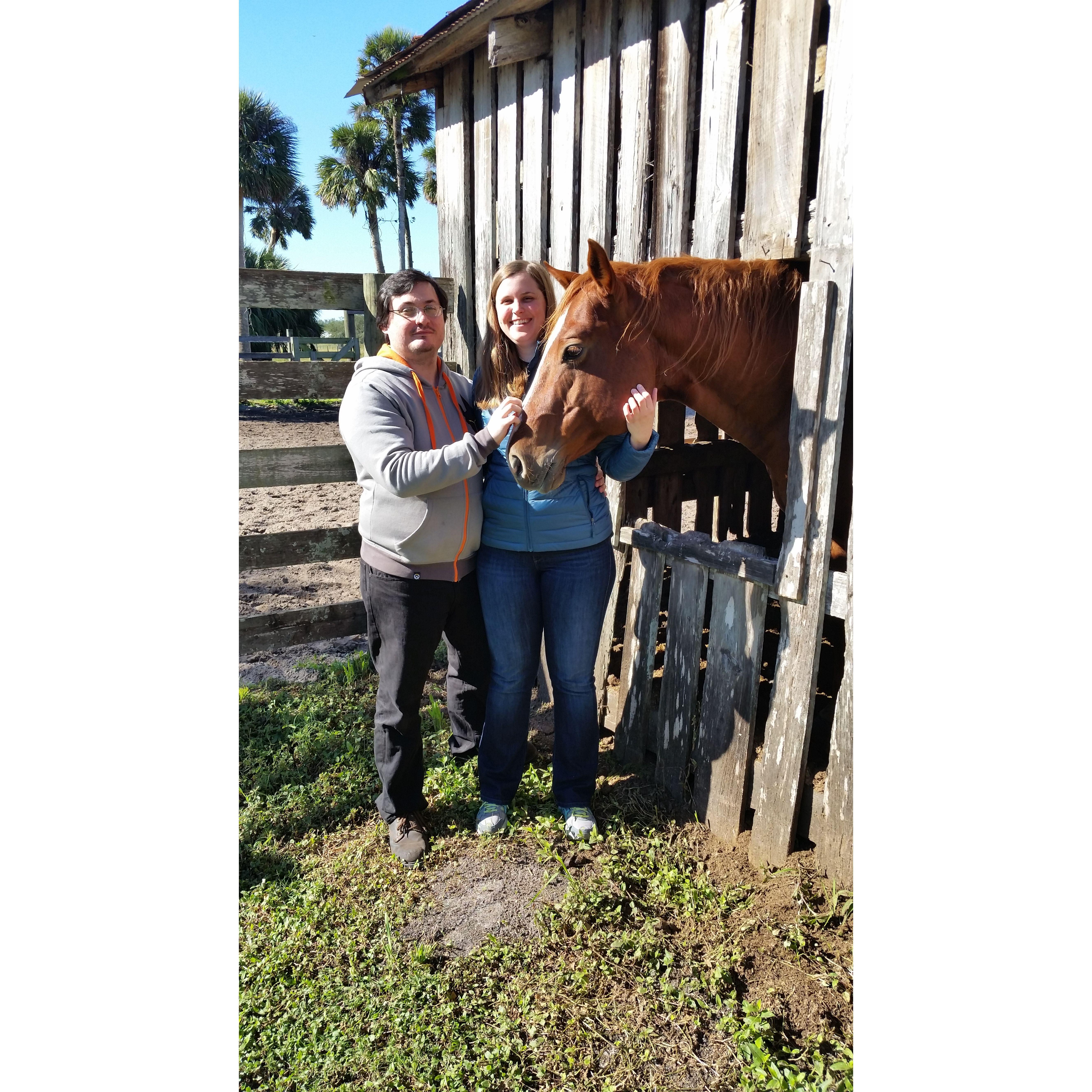 Obligatory ranch horse pets.