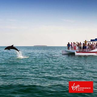 Dolphin Watch & Snorkeling Tour - Key West