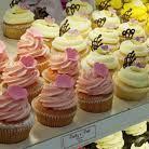 The Cupcake Collection