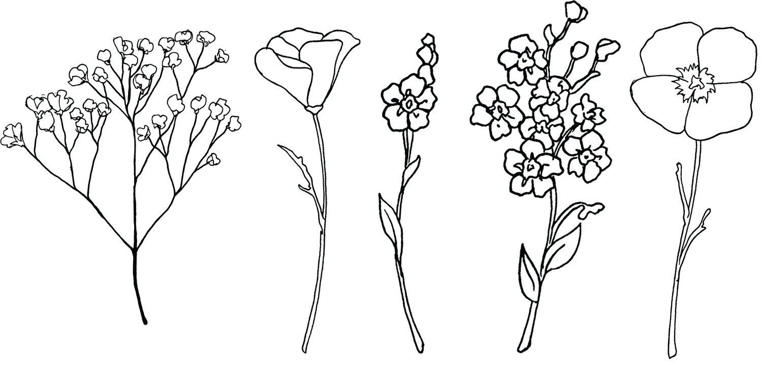 The Wedding Website of Molly Greenberg and Max Malamed