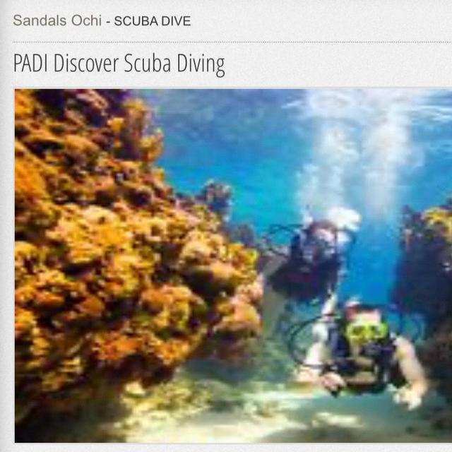 Honeymoon: Discover Scuba Diving