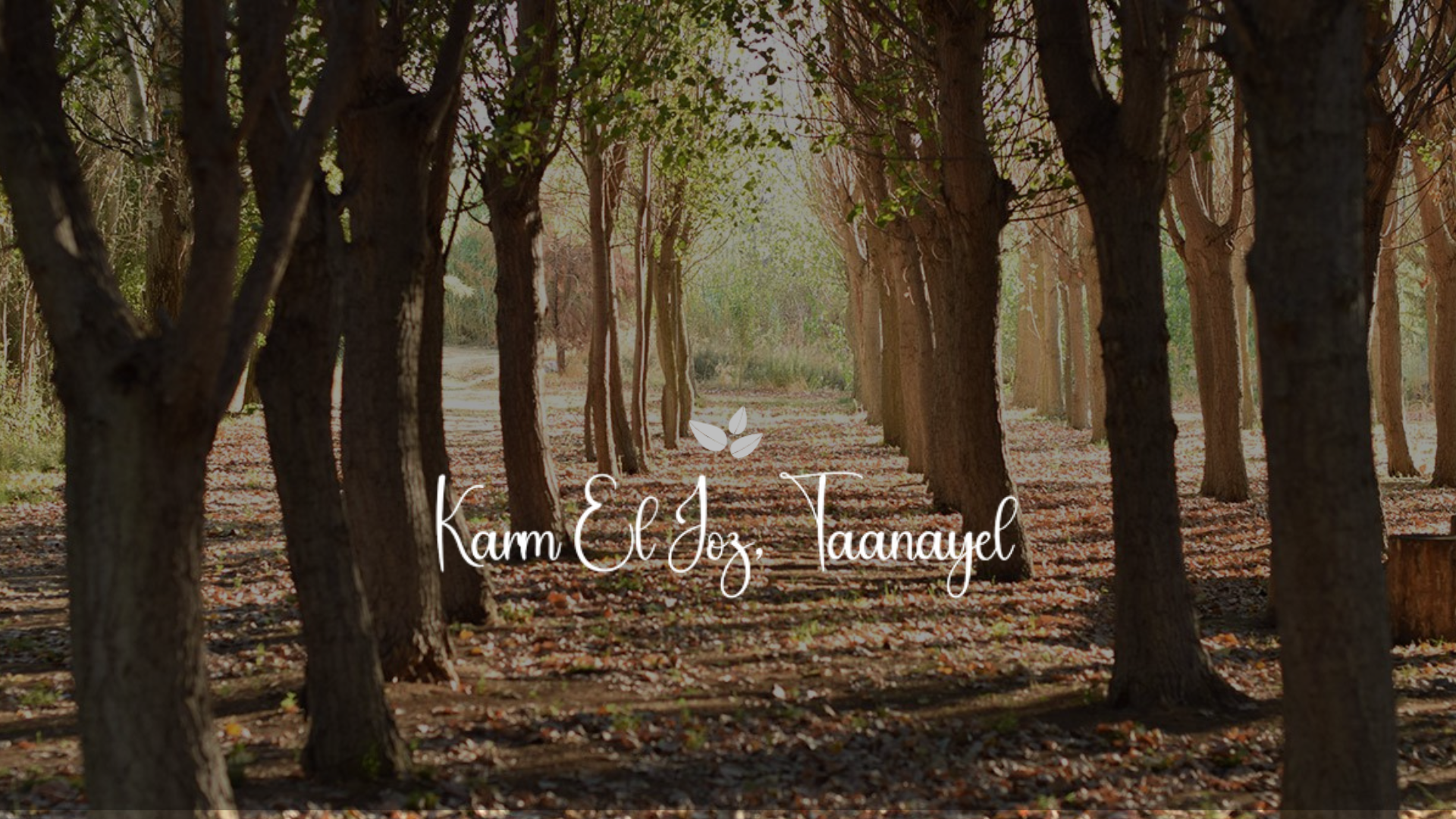 The Wedding Website of Mohamad Banna and Lea Bekdash