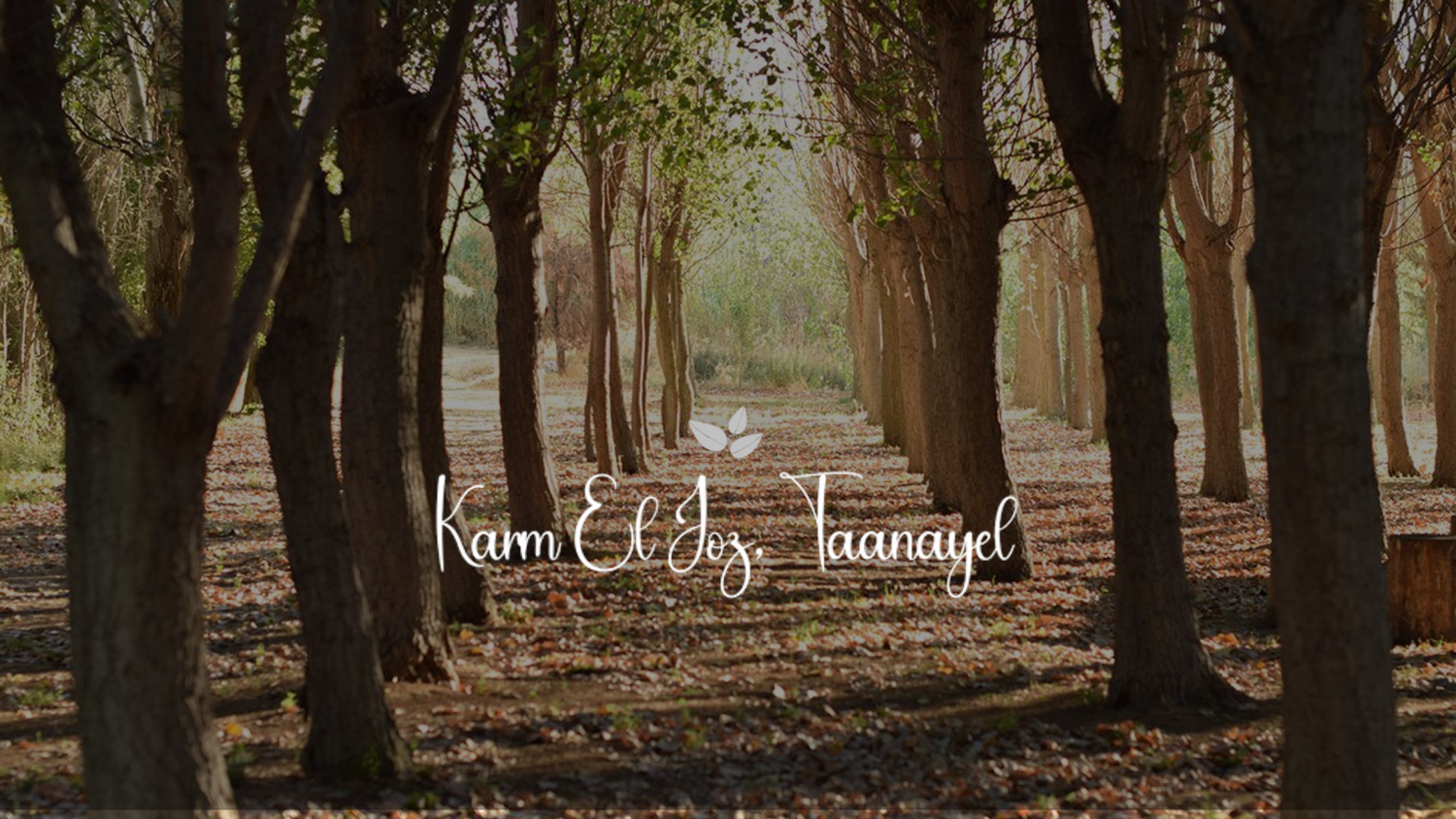 The Wedding Website of Mohamad Banna and Lea Bekdash