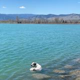 Coot Lake / Boulder Reservoir