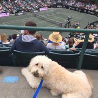 Max is enjoying the River Dogs game from the cheap seats!