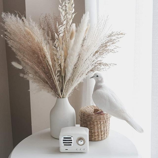 Calliope Creations - Dried Pampas Grass | Premium Dried Bouquet with Naturally Dried Pampas | Long-Lasting Dried Flowers Bouquet for Boho Home Decor and Boho Wedding Decor – 30 Stems (White and Beige)