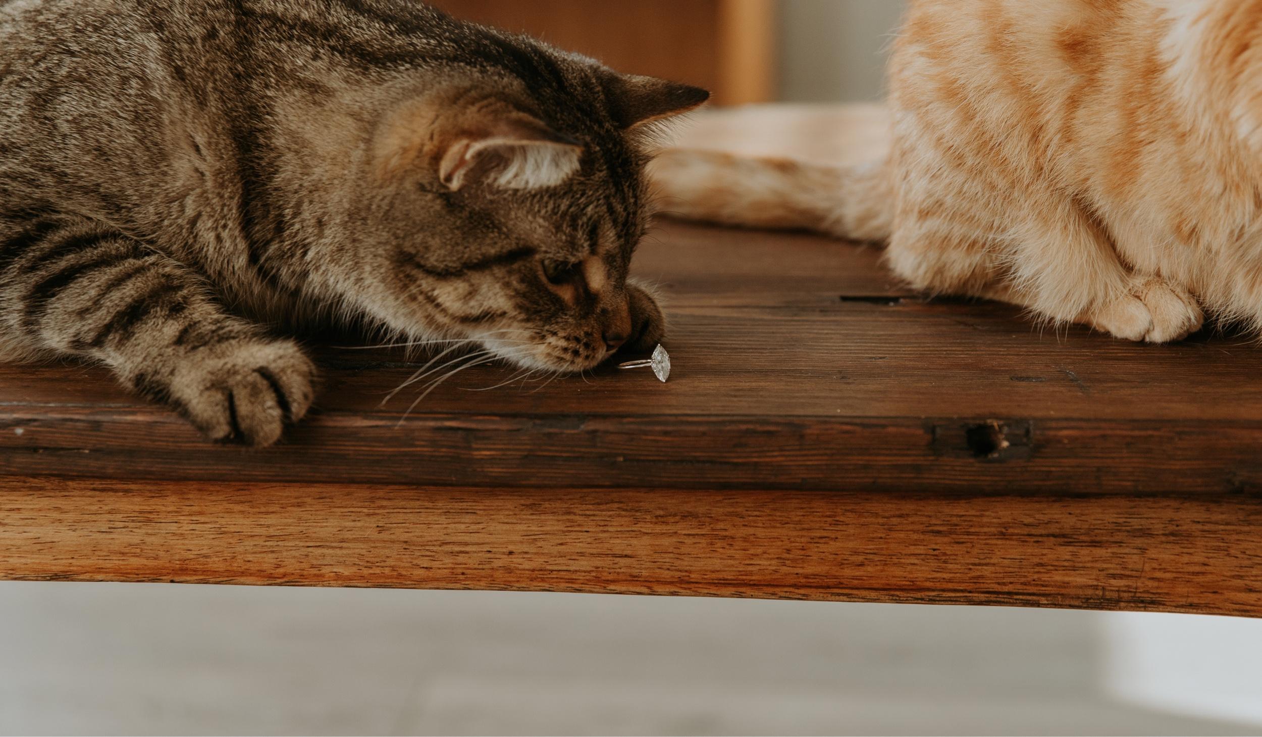 Footer image