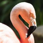 Santa Barbara Zoo