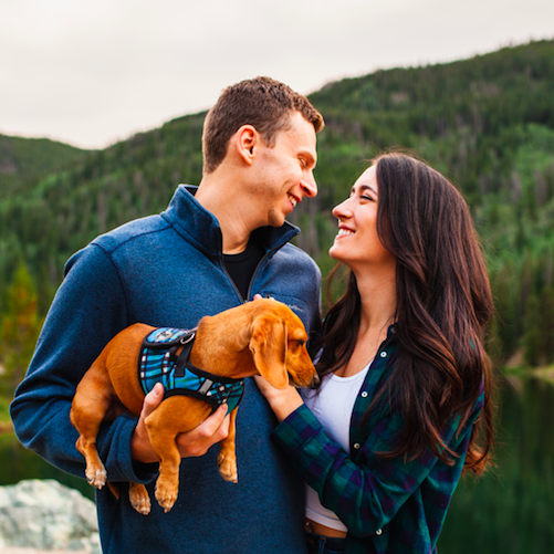 Engagement 2020