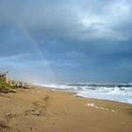 Canaveral National Seashore