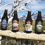 Mammoth Brewing Company