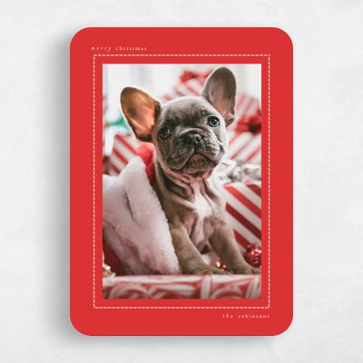 Red Rounded Holiday Card - Frost Portrait