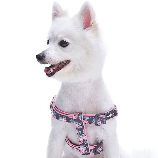 Blueberry Pet 7 Patterns Soft & Comfy Flower Print Neoprene Padded Dog Harnesses