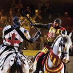 Medieval Times Dinner & Tournament