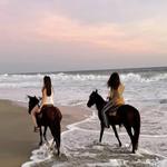 Beach Horseback Riding Copalita, Huatulco